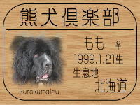 ���I�[�i�[�́A�����ꂳ��ł���